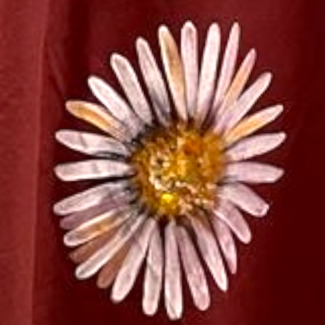 Maroon Hand-Painted Daisy Wrap round